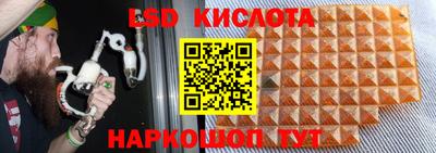 крисы Свободный