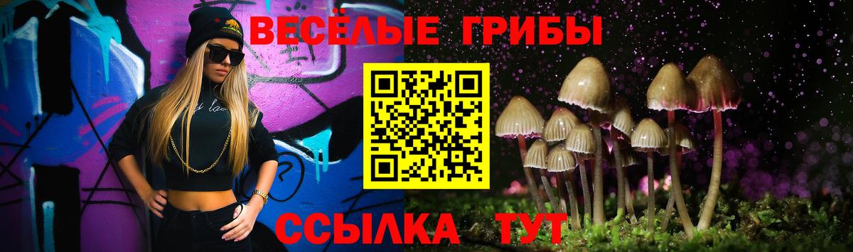 Протвино  Галлюциногенные грибы Psilocybe  наркотики  Вход с VPN 